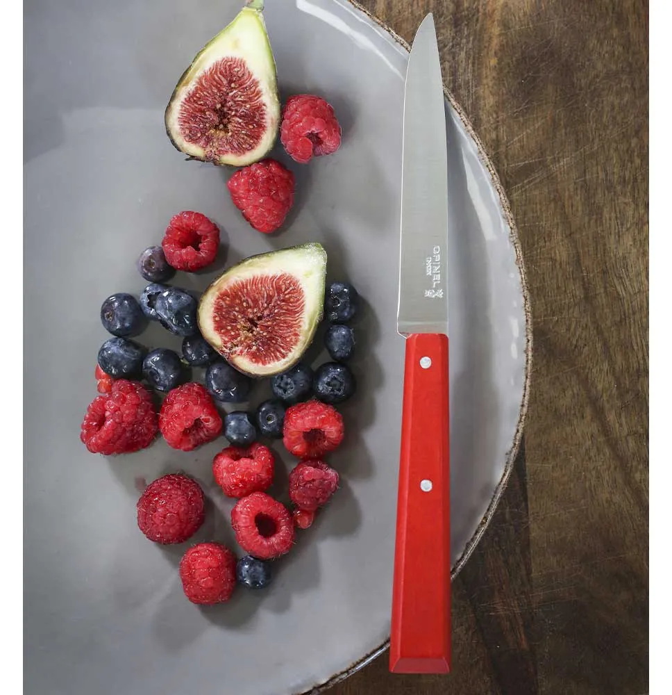 Bon Appétit Table Knife N°125 - Pack of 12