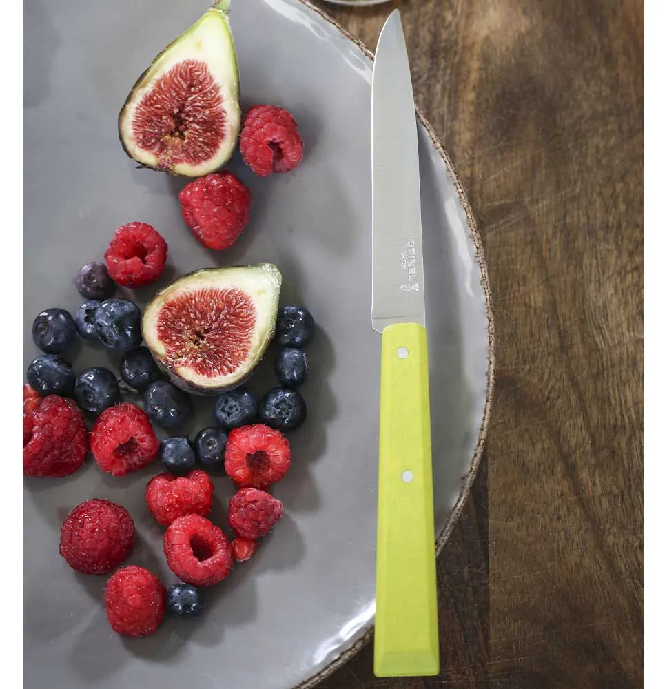 Bon Appétit Table Knife N°125 - Pack of 12