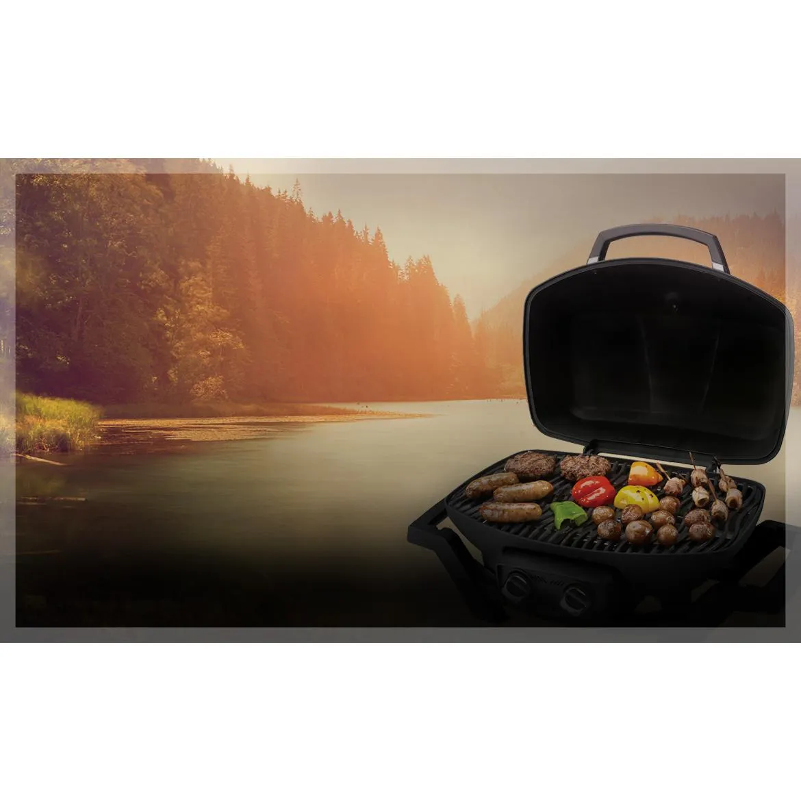 Napoleon TravelQ™ Portable Gas Grill PRO285N-BK